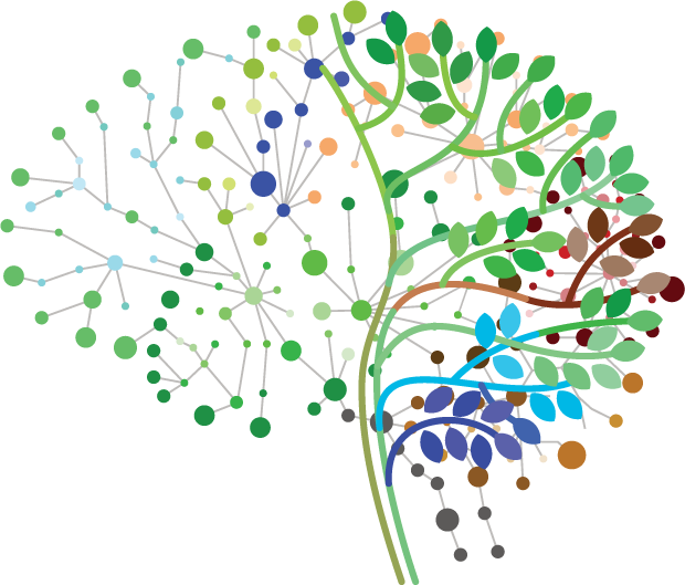Brain
